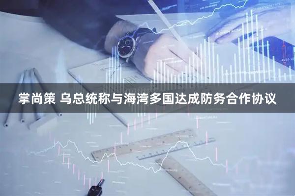 掌尚策 乌总统称与海湾多国达成防务合作协议